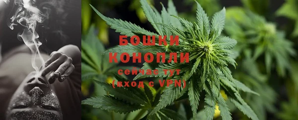 прущая мука Магас
