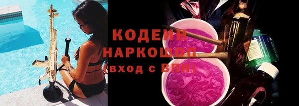 индика Майский