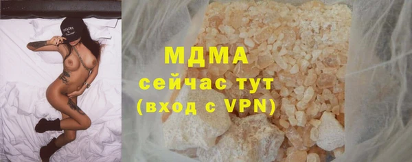 индика Майский