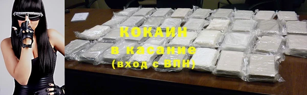 индика Майский