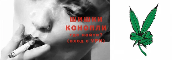 индика Майский
