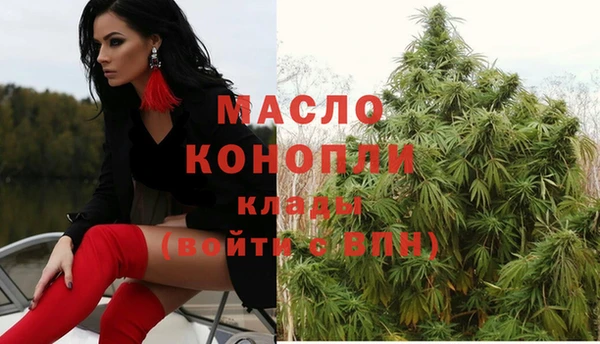 индика Майский