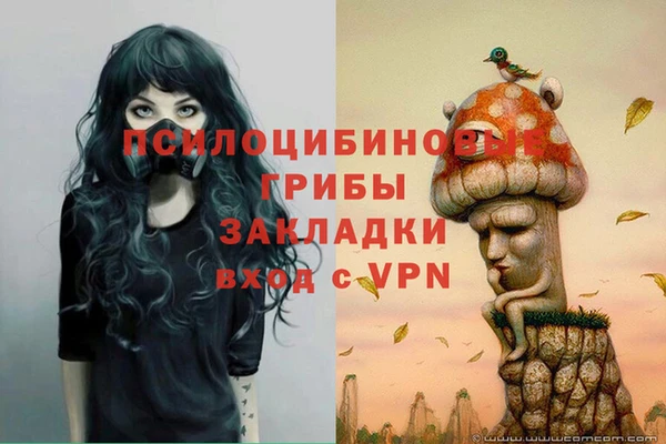 прущая мука Магас