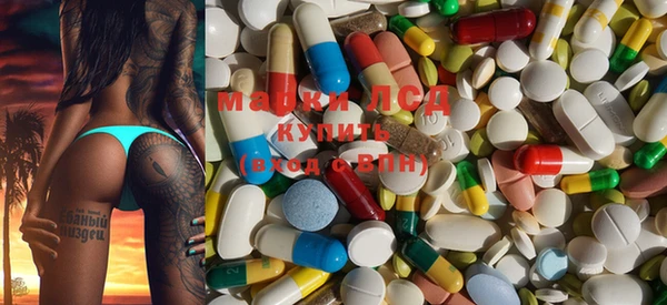 индика Майский